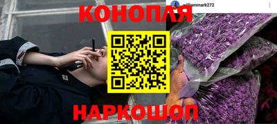 сатива Кумертау