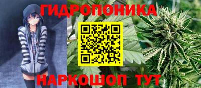 сатива Кумертау