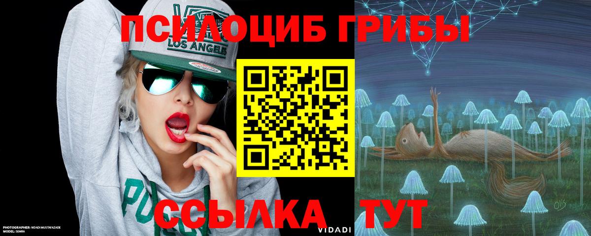 Галлюциногенные грибы Cubensis Еманжелинск