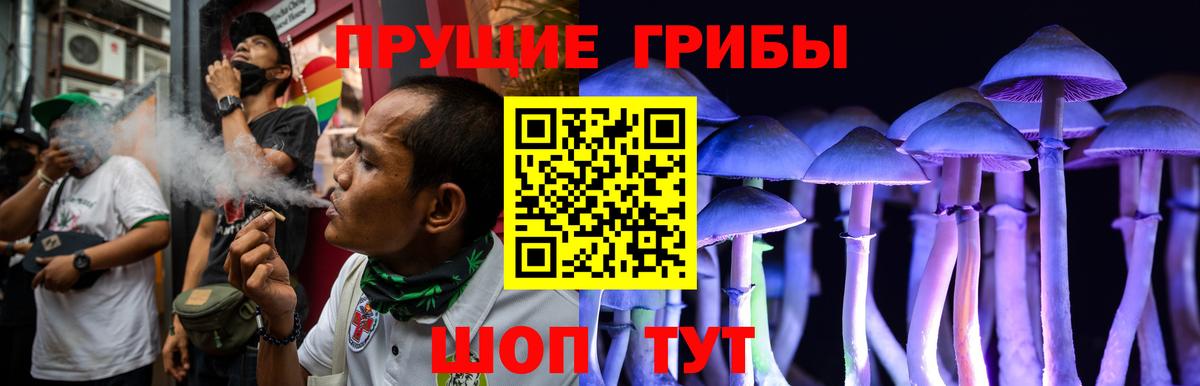 наркота  Вход с VPN  Еманжелинск  Псилоцибиновые грибы Psilocybine cubensis 